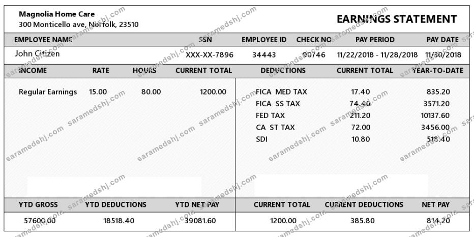 USA VIRGINIA Magnolia Home Care earning statement in Word and PDF formats